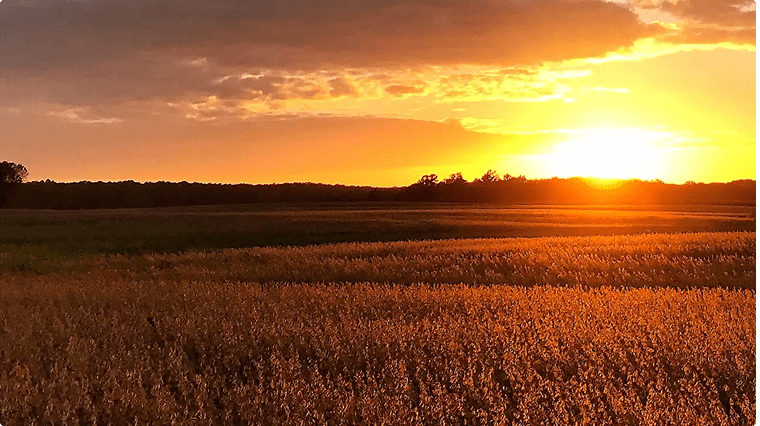 Dealer Portal hero Image